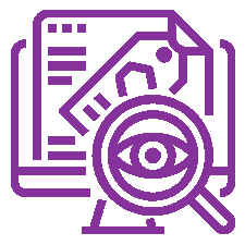 Auditing-Icon